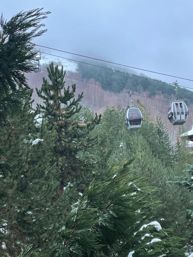 شقة Baqueira 1500 Naut Aran المظهر الخارجي الصورة